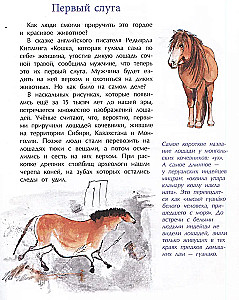 Кони. Дикие, благородные, знаменитые