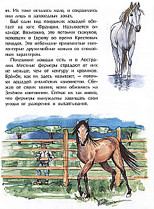 Кони. Дикие, благородные, знаменитые