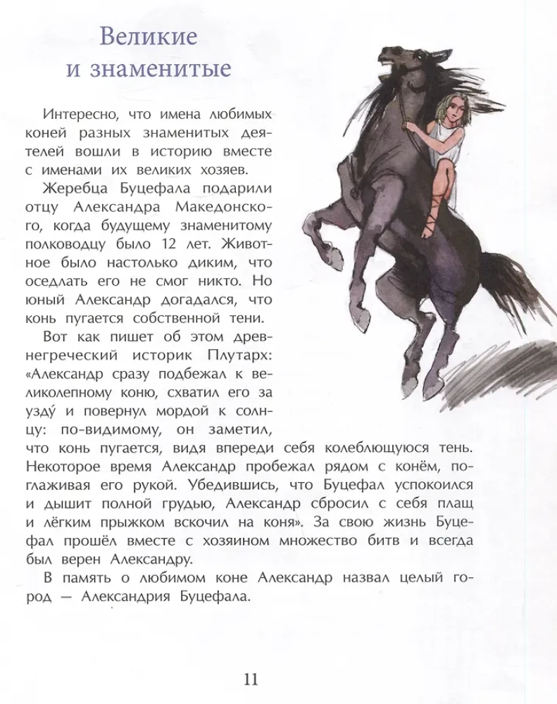 Кони. Дикие, благородные, знаменитые