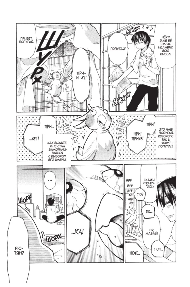 ToraDora. Tīģeris un Pūķis. 1. sējums