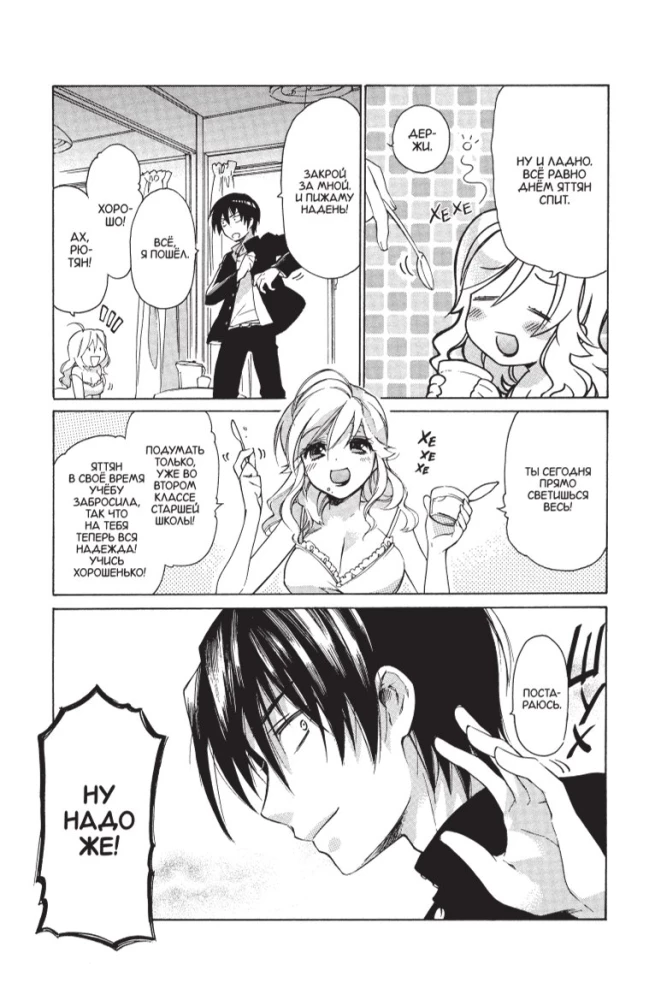 ToraDora. Tīģeris un Pūķis. 1. sējums