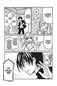 ToraDora. Tīģeris un Pūķis. 1. sējums