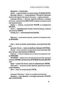 Эпифания Длинного Солнца