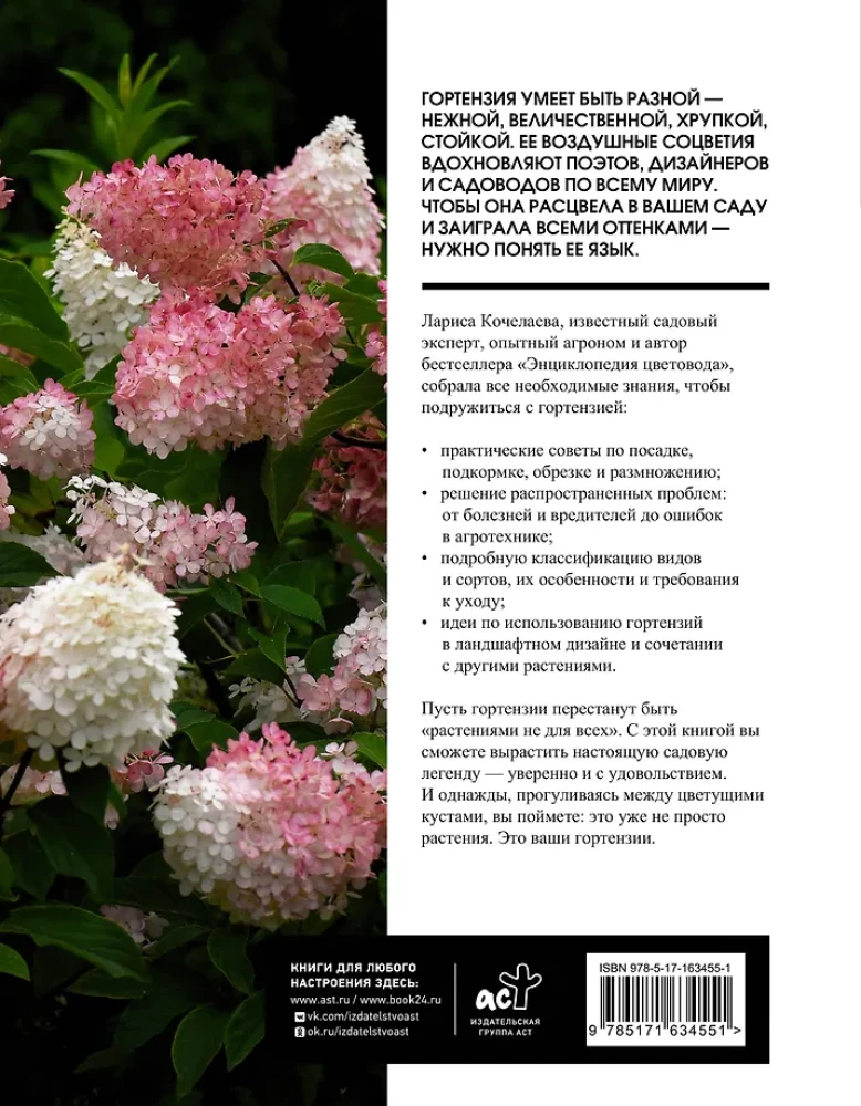Hortenzijas. Audzējam, kopjam un baudām jebkurā dārzā