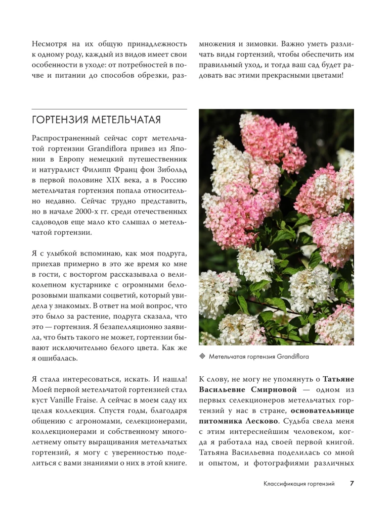 Hortenzijas. Audzējam, kopjam un baudām jebkurā dārzā