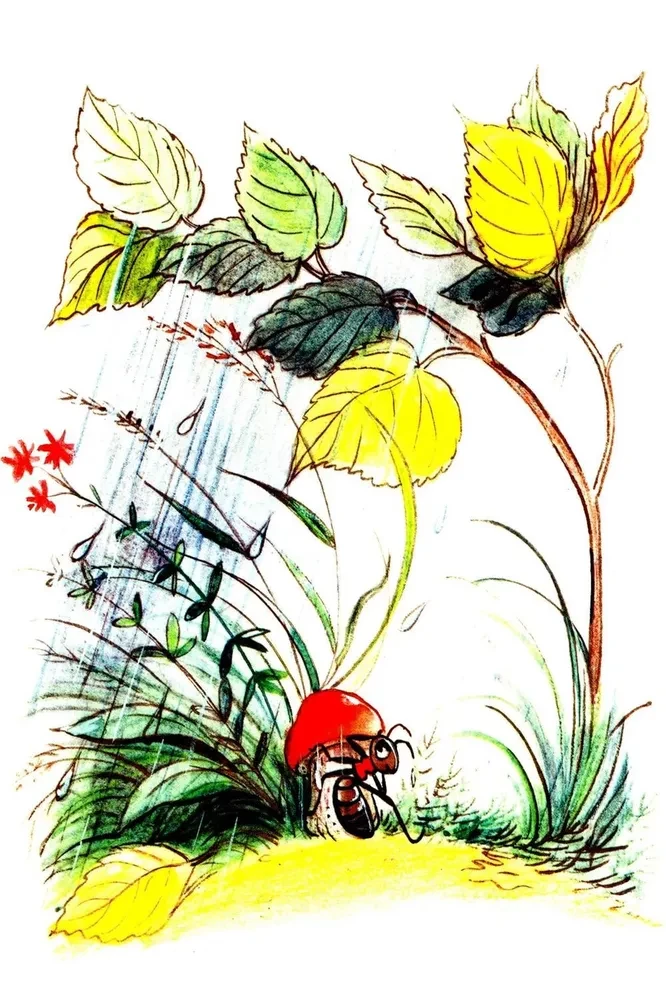 Zem sēnes