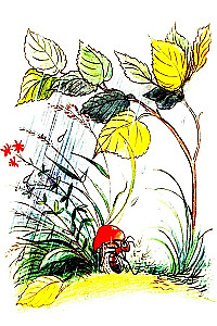Zem sēnes