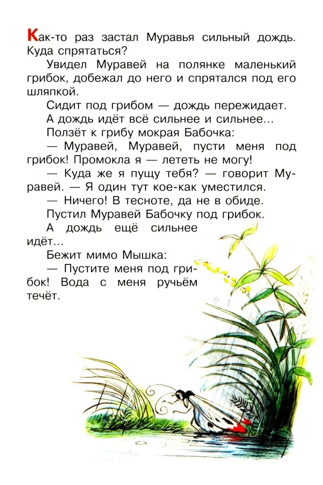 Zem sēnes