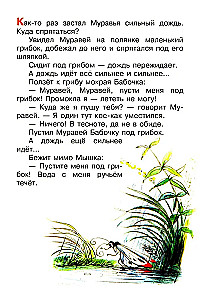 Zem sēnes
