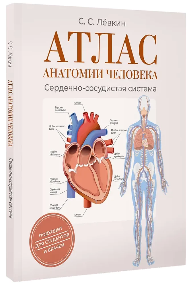 Атлас анатомии человека. Сердечно-сосудистая система