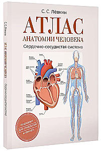 Атлас анатомии человека. Сердечно-сосудистая система