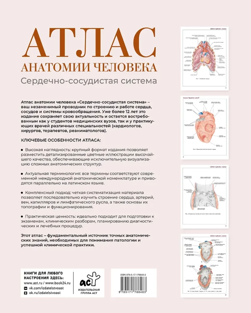 Атлас анатомии человека. Сердечно-сосудистая система