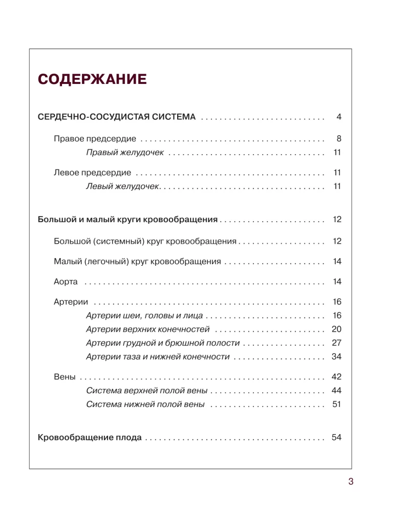 Атлас анатомии человека. Сердечно-сосудистая система