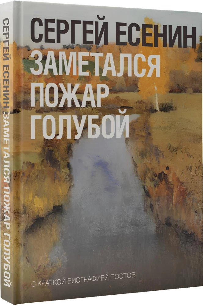 Заметался пожар голубой