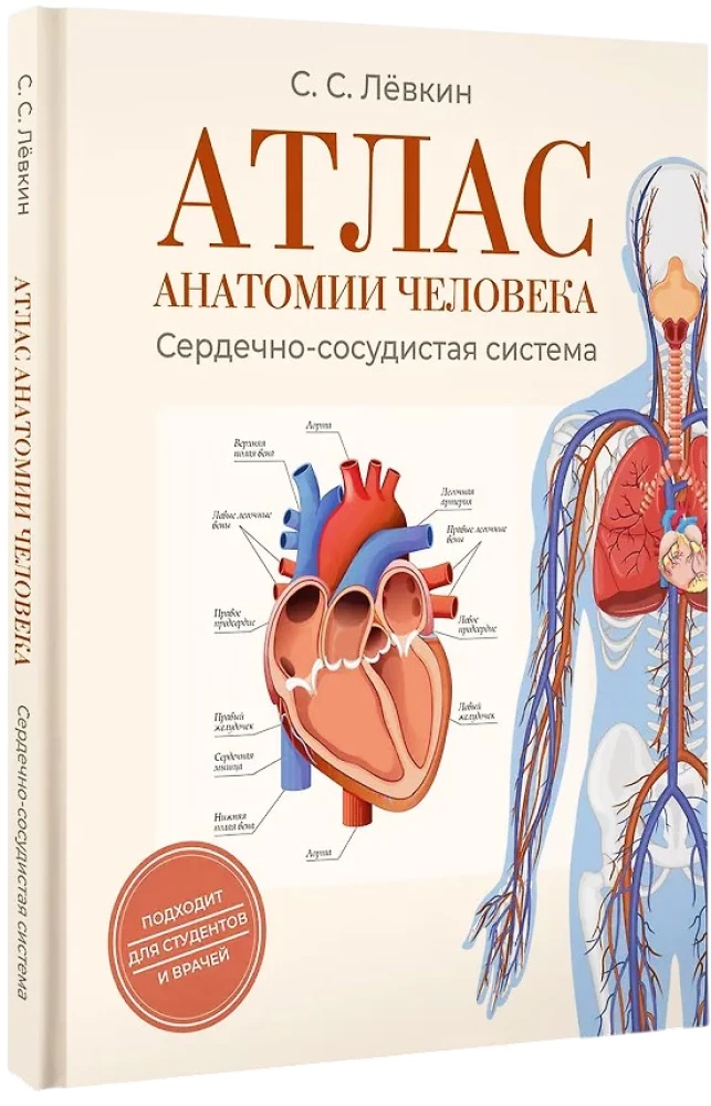 Атлас анатомии человека. Сердечно-сосудистая система