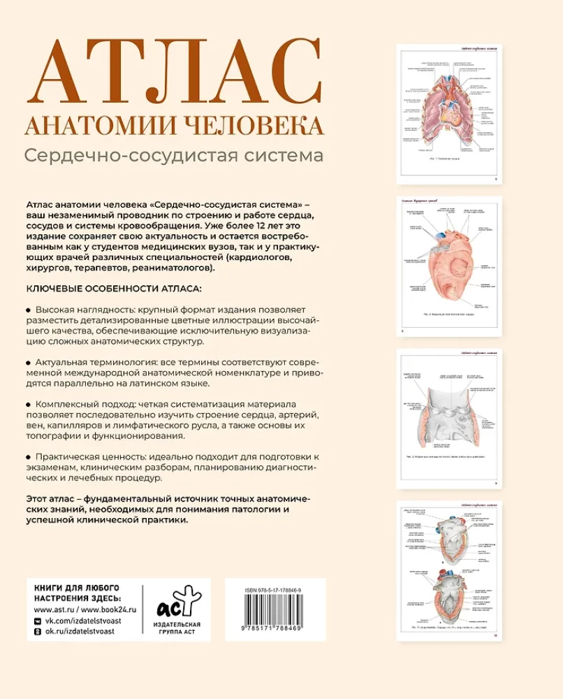 Атлас анатомии человека. Сердечно-сосудистая система