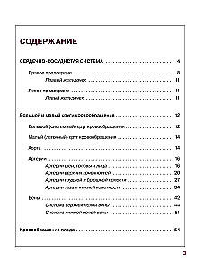 Атлас анатомии человека. Сердечно-сосудистая система