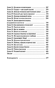 Теневой каганат