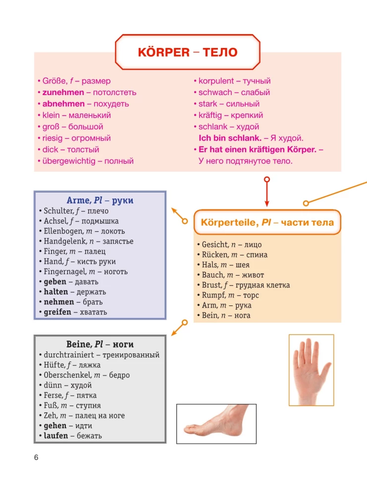 Немецкий в схемах-паутинках. Уровни A1-A2