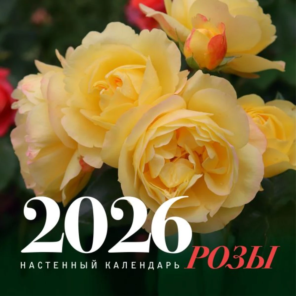 Rozes. Sienas kalendārs 2026. gadam