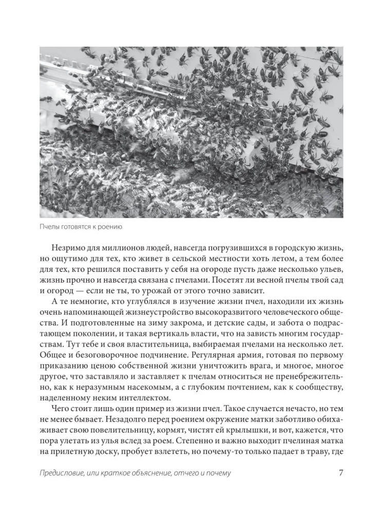 Пчеловодство для начинающих. Практическое пошаговое руководство по созданию пасеки с нуля