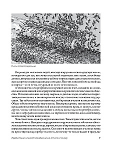 Пчеловодство для начинающих. Практическое пошаговое руководство по созданию пасеки с нуля
