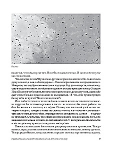 Пчеловодство для начинающих. Практическое пошаговое руководство по созданию пасеки с нуля