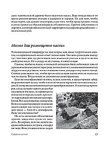 Пчеловодство для начинающих. Практическое пошаговое руководство по созданию пасеки с нуля