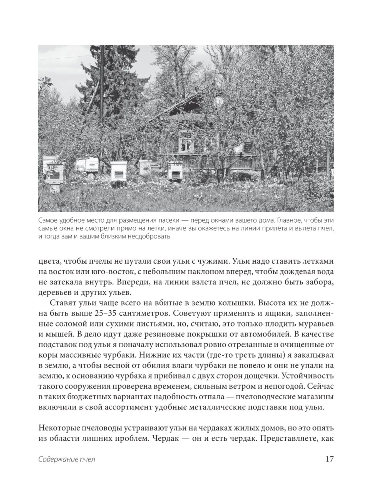 Пчеловодство для начинающих. Практическое пошаговое руководство по созданию пасеки с нуля