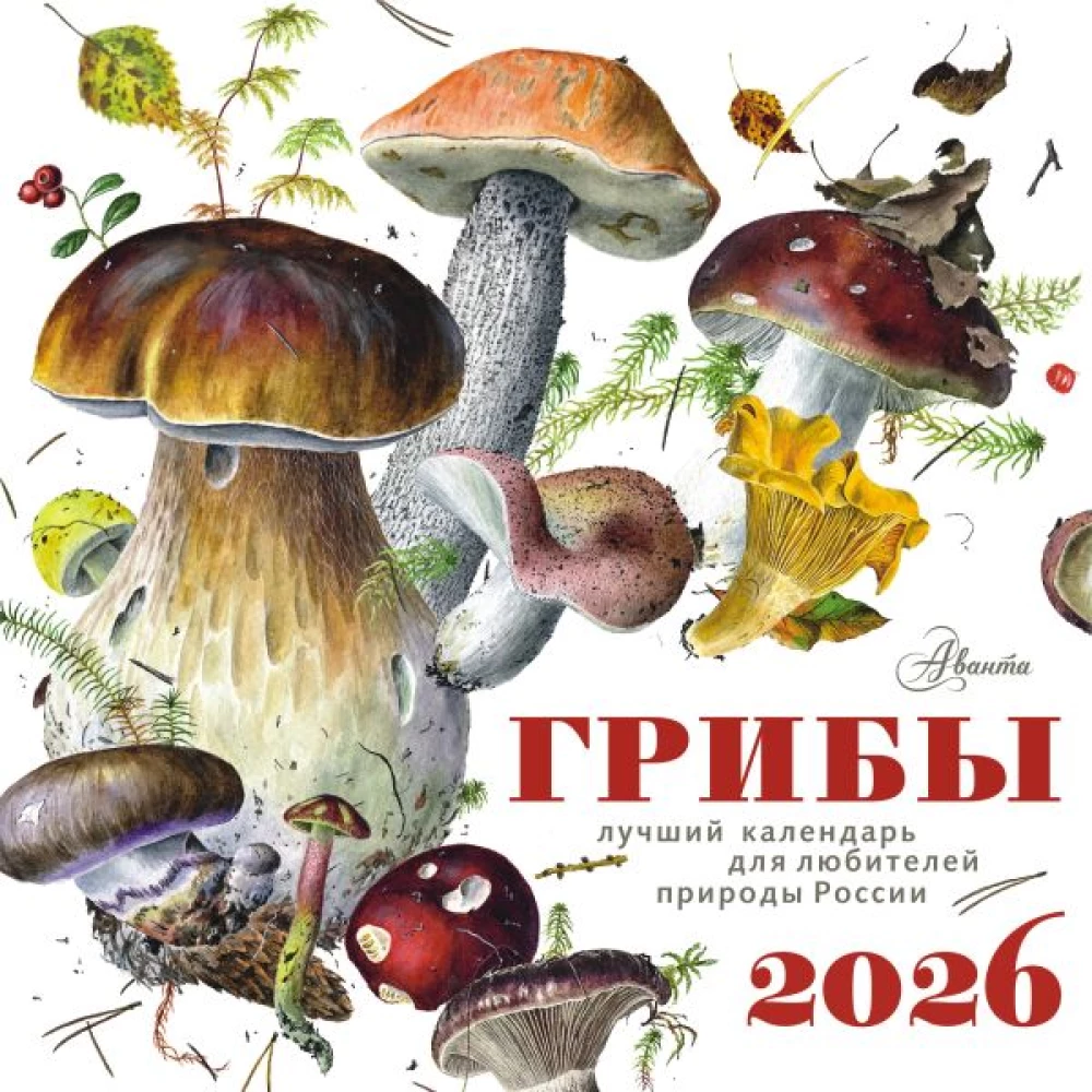 Календарь - Грибы 2026 год