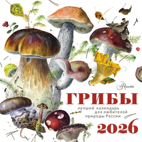 Календарь - Грибы 2026 год