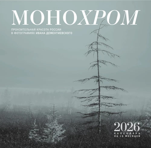 Монохром. Пронзительная красота России в фотографиях Ивана Дементиевского. Календарь настенный на 16 месяцев на 2026 год