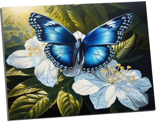 Glezna pēc numuriem ar platīna zeltu - Taureņš uz baltajiem ziediem, 40x50