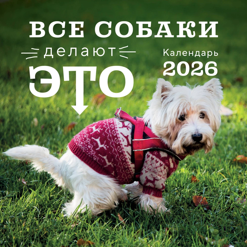 Все собаки делают это. Календарь настенный на 2026 год