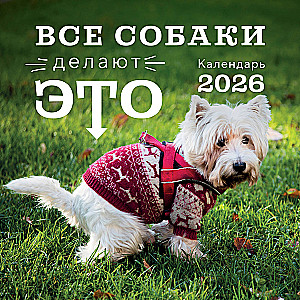 Все собаки делают это. Календарь настенный на 2026 год
