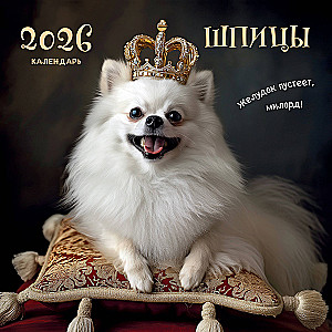 Шпицы. Календарь настенный на 2026 год
