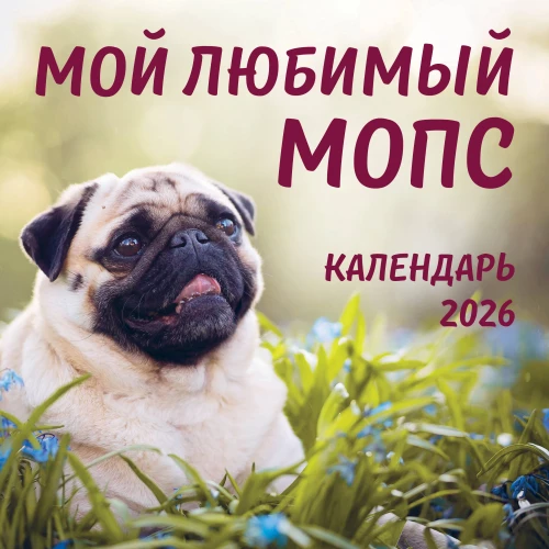 Mans mīļākais mopss. Sienas kalendārs 2026. gadam