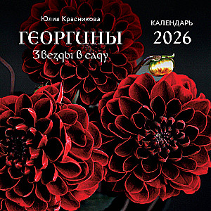 Георгины. Звезды в саду. Календарь настенный на 2026 год