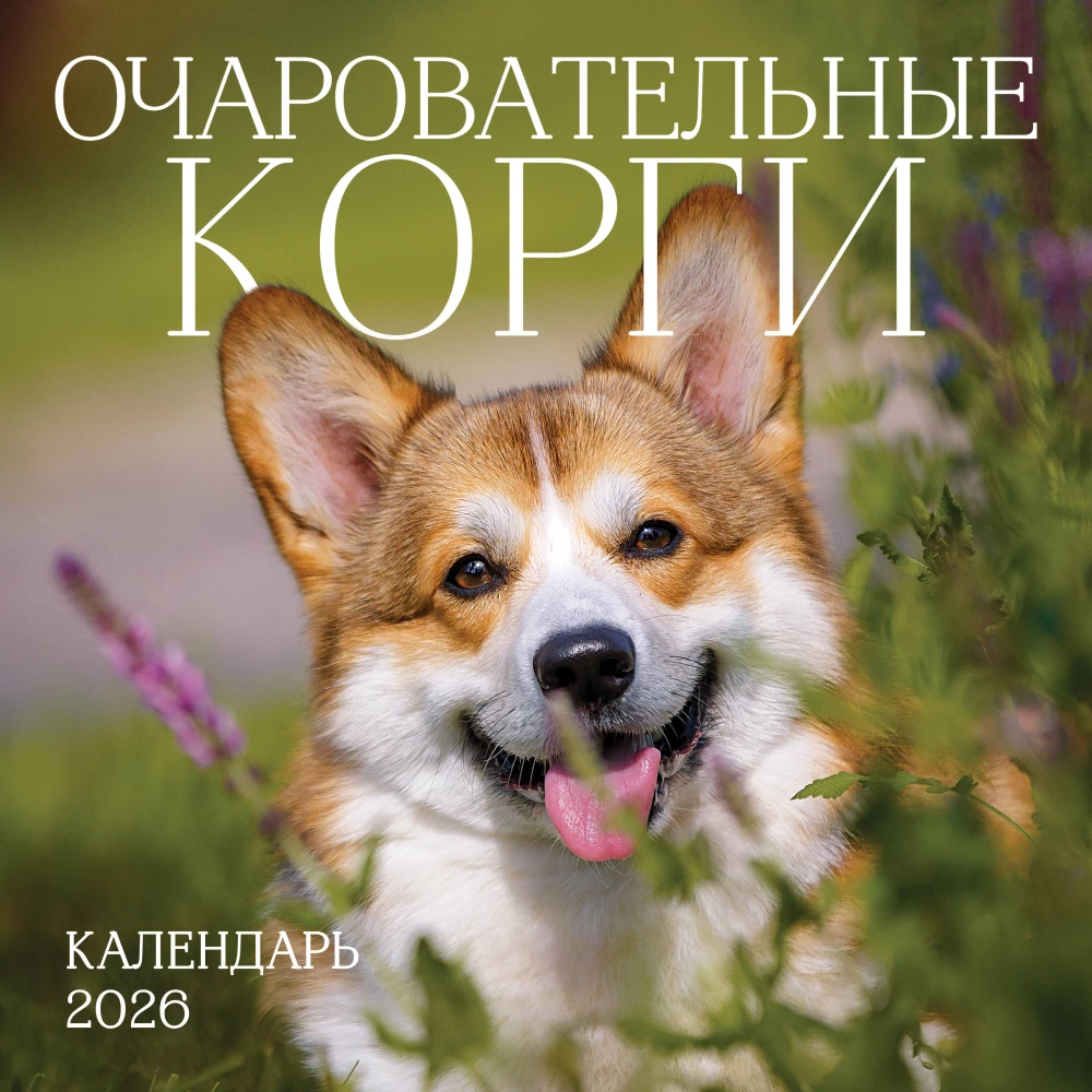 Календарь настенный на 2026 год  - Очаровательные корги
