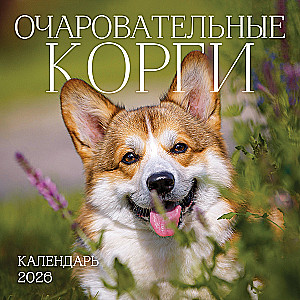 Календарь настенный на 2026 год  - Очаровательные корги
