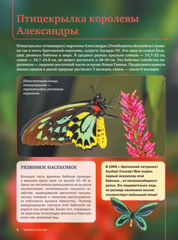 Красная книга