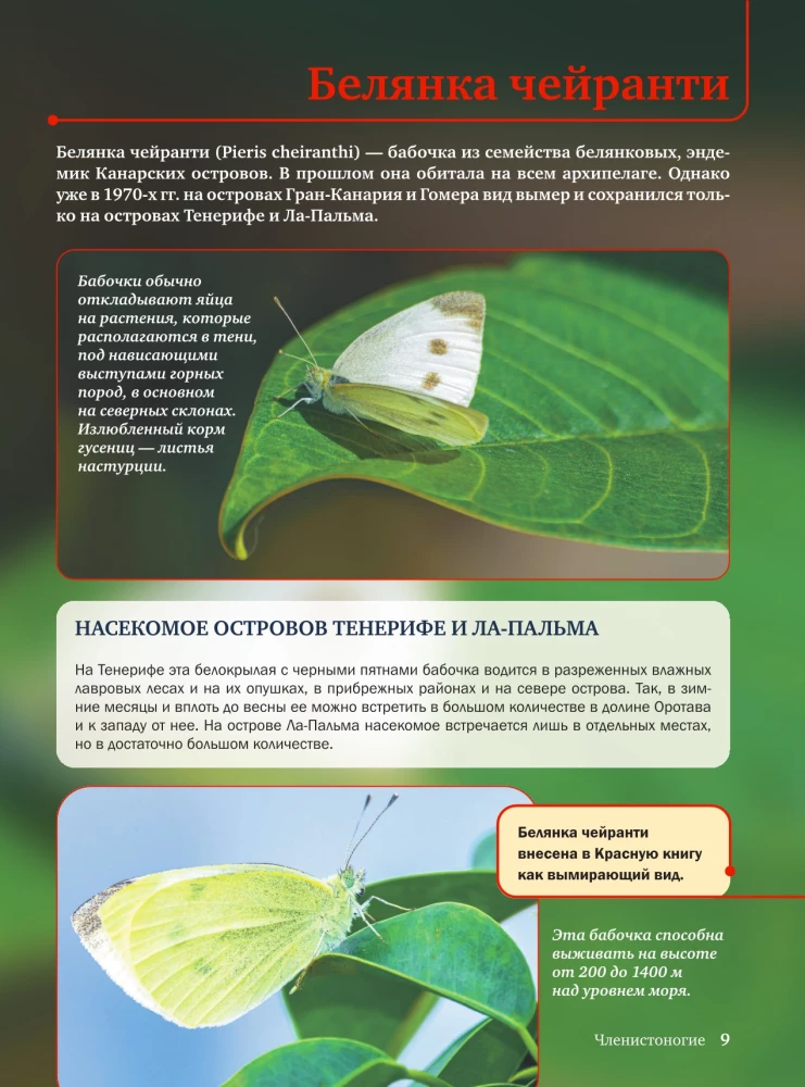 Красная книга