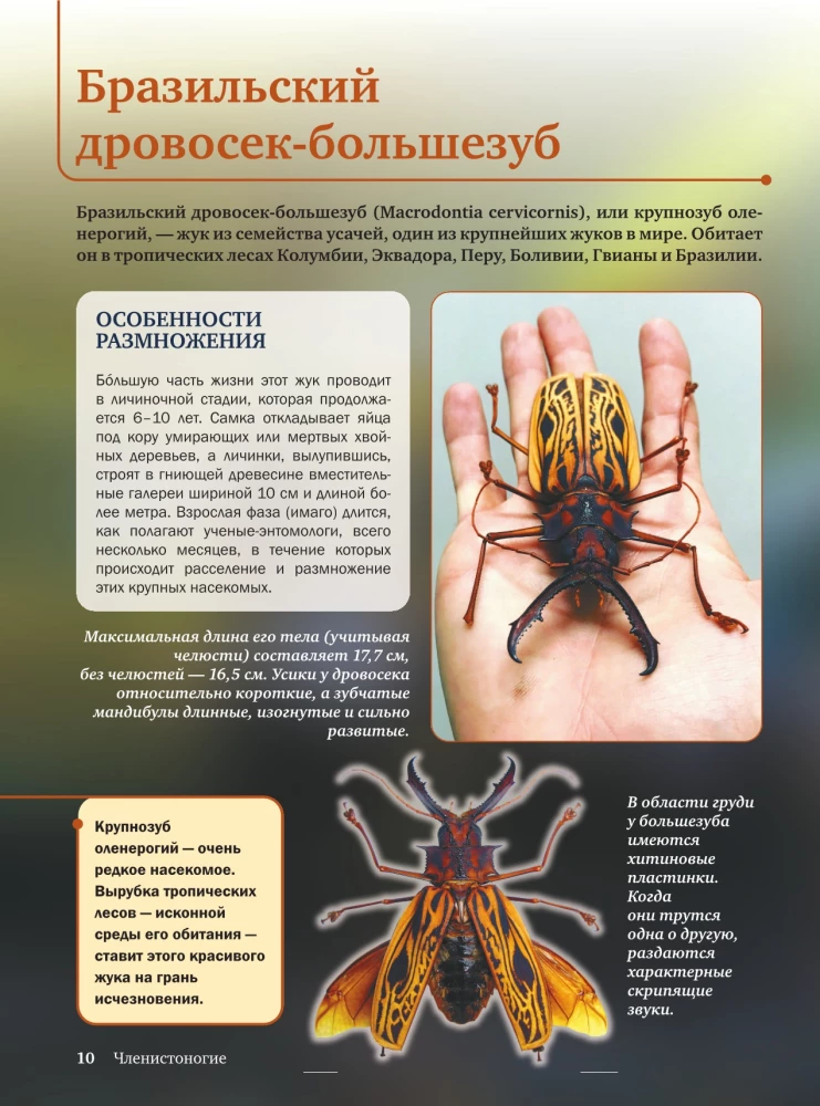 Красная книга