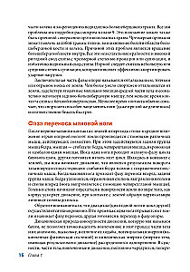 Anatomija skriešanas