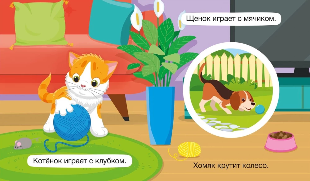Крутые крутилки. Мои любимцы