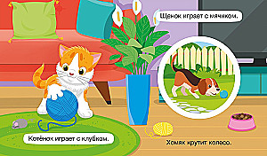 Крутые крутилки. Мои любимцы