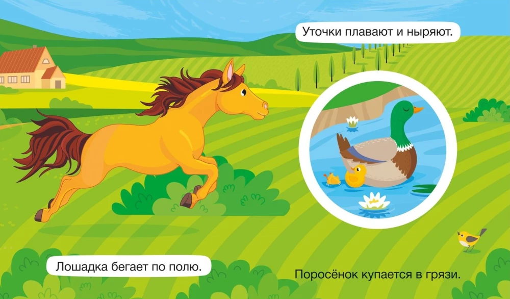 Крутые крутилки. Мои любимцы