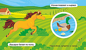 Крутые крутилки. Мои любимцы