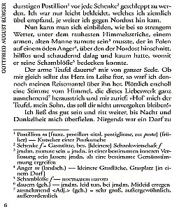 Barona Mjūhāzena piedzīvojumi un citas brīnišķīgas stāsti