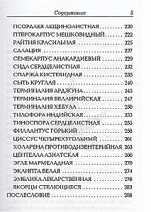Сакральные растения аюрведы